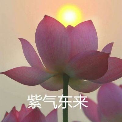 战就战腾讯版下载